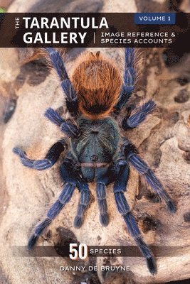 The Tarantula Gallery: Image Reference & Species Accounts 1