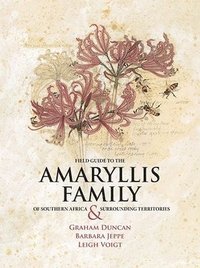 bokomslag Field Guide to the Amaryllis Family of Southern Africa and Surrounding Territories