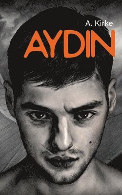 bokomslag Aydin