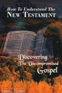 bokomslag How to understand the New Testament