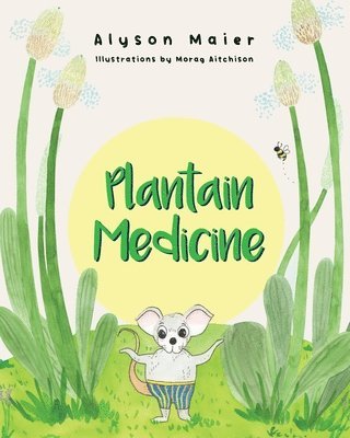 Plantain Medicine 1