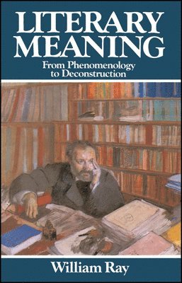 William Ray - Literary Meaning, Häftad