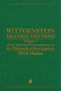 Wittgenstein: Meaning and Mind 1