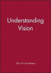 bokomslag Understanding Vision