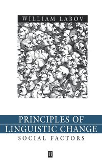 bokomslag Principles of Linguistic Change, Volume 2