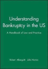 bokomslag Understanding Bankruptcy in the US
