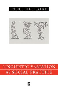 bokomslag Language Variation as Social Practice