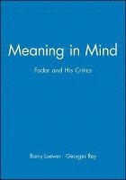 Barry Loewer, Georges Rey - Meaning in Mind, Häftad