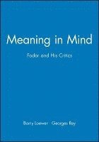 Meaning in Mind 1