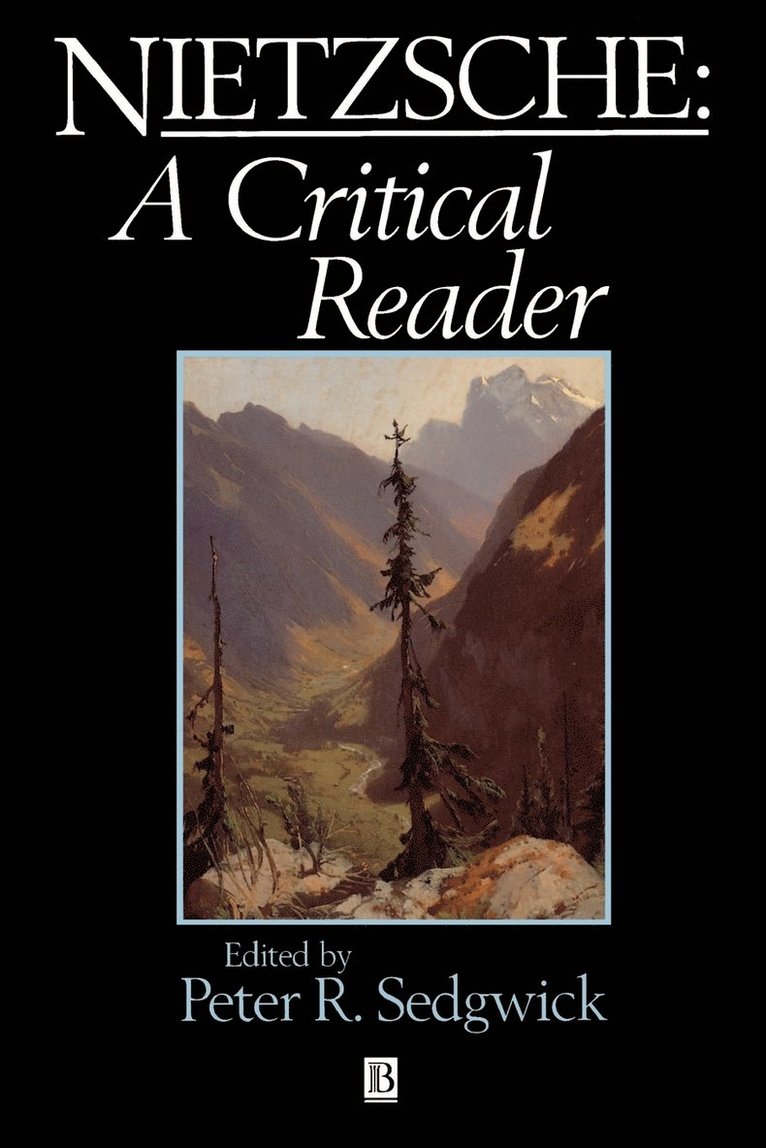 Peter Sedgwick, Peter R. Sedgwick - Nietzsche, Häftad
