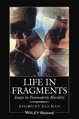 bokomslag Life in Fragments