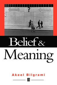 bokomslag Belief and Meaning