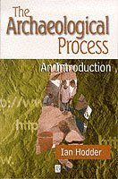 bokomslag Archaeological Process