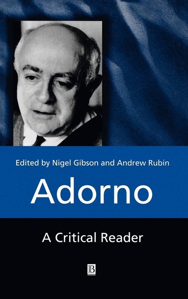 Gibson, Nigel C. Gibson, Andrew Rubin - Adorno, Inbunden