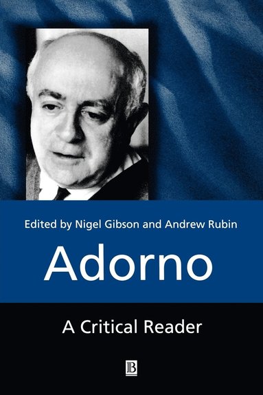 Gibson, RUBIN, Nigel C. Gibson, Andrew Rubin - Adorno, Häftad