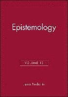 bokomslag Epistemology, Volume 13
