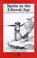 Charles J. Esdaile - Spain in the Liberal Age, Häftad