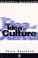 bokomslag The Idea of Culture