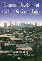 bokomslag Economic Development and the Division of Labor