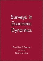 bokomslag Surveys in Economic Dynamics