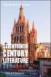 bokomslag The Seventeenth - Century Literature Handbook