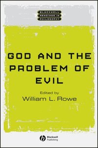 bokomslag God and the Problem of Evil