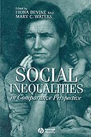 bokomslag Social Inequalities in Comparative Perspective