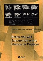 bokomslag Derivation and Explanation in the Minimalist Program
