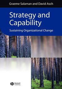 bokomslag Strategy and Capability