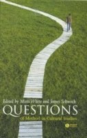 White, Schwoch, Mimi White, James Schwoch - Questions of Method in Cultural Studies, Häftad