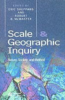 bokomslag Scale and Geographic Inquiry
