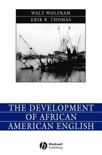 bokomslag The Development of African American English
