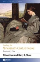 bokomslag Reading the Nineteenth-century Novel