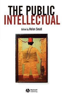 Small, Helen Small - Public Intellectual, Häftad