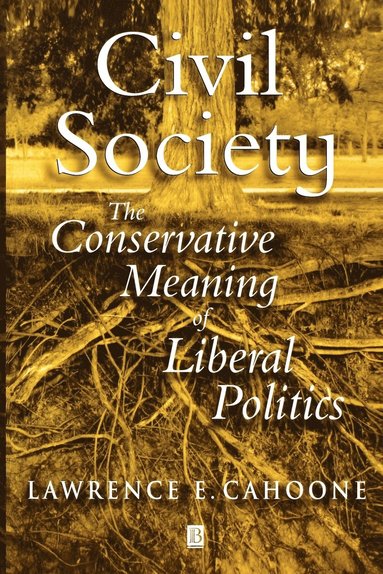 bokomslag Civil Society