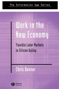bokomslag Work in the New Economy: Flexible Labor Markets in Silicon Valley