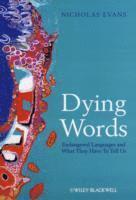 Nicholas Evans - Dying Words, Häftad