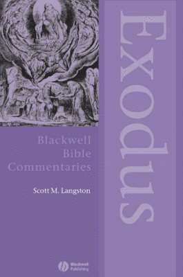 bokomslag Exodus Through the Centuries