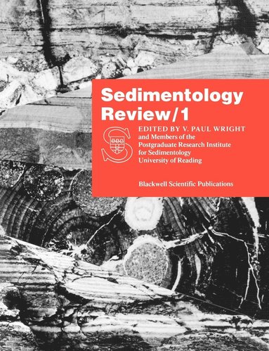 bokomslag Sedimentology Review 1