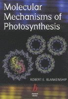 Robert E. Blankenship - Molecular mechanisms of photosynthesis, Pocket