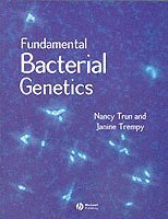 bokomslag Fundamental Bacterial Genetics