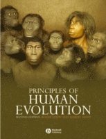 bokomslag Principles of Human Evolution