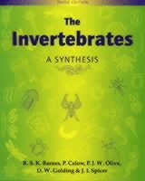 R. S. K. Barnes, Peter P. Calow, P. J. W. Olive, D. W. Golding, J. I. Spicer, John I. Spicer, Barnes, Calow, R S K Barnes, Peter P Calow, P J W Olive, D W Golding, J I Spicer - Invertebrates, Häftad