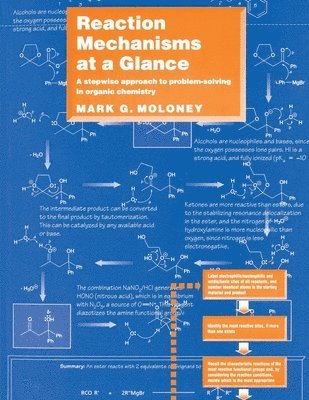 Mark G. Moloney - Reaction Mechanisms At a Glance, Häftad