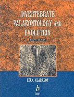 bokomslag Invertebrate Palaeontology and Evolution