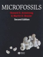 bokomslag Microfossils