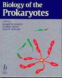 bokomslag Biology of the Prokaryotes