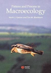 bokomslag Pattern and Process in Macroecology