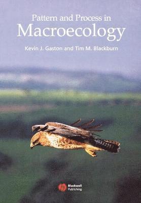 Pattern and Process in Macroecology 1
