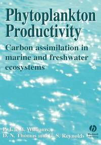 bokomslag Phytoplankton Productivity